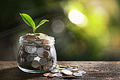 Plant germ in a money jar