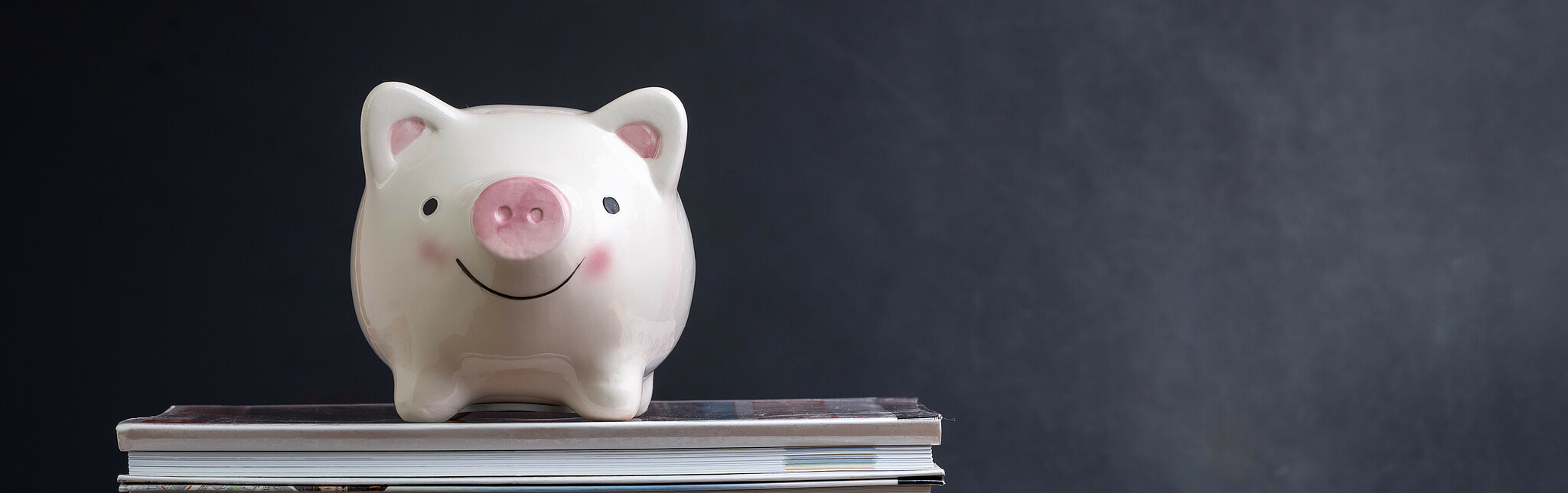 Sparschwein auf Bücherstapel