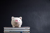 Sparschwein auf Bücherstapel