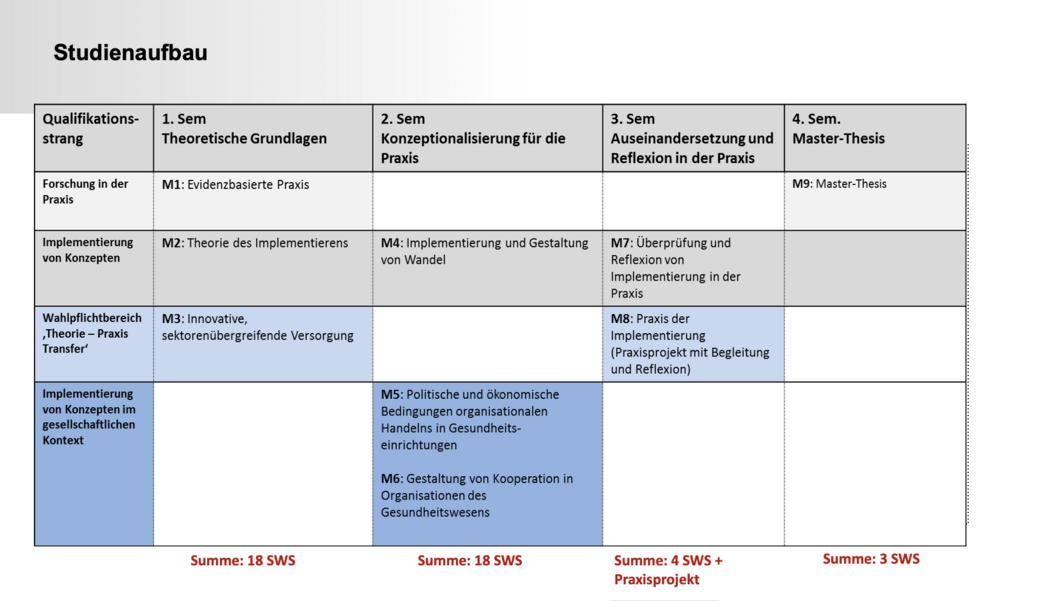 Excerpt from the study structure